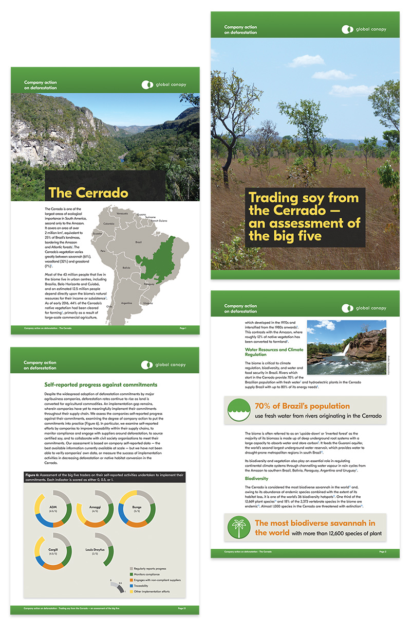 Global Canopy reports and briefing documents